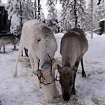Noa Aurora Lapland 5*