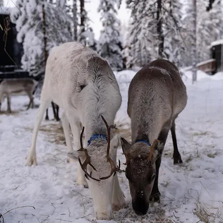 Noa Aurora Lapland 5*